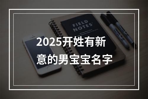 2025开姓有新意的男宝宝名字