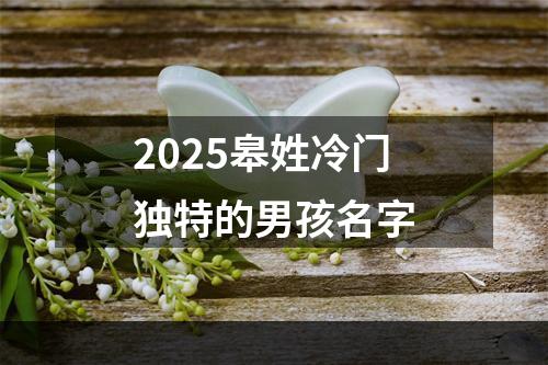 2025皋姓冷门独特的男孩名字