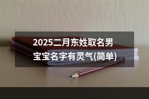 2025二月东姓取名男宝宝名字有灵气(简单)