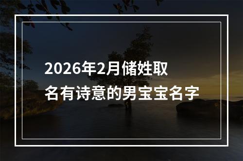 2026年2月储姓取名有诗意的男宝宝名字