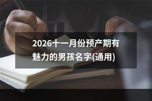 2026十一月份预产期有魅力的男孩名字(通用)