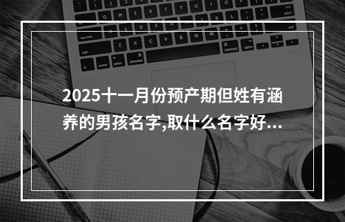 2025十一月份预产期但姓有涵养的男孩名字,取什么名字好(好听实用)