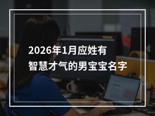 2026年1月应姓有智慧才气的男宝宝名字