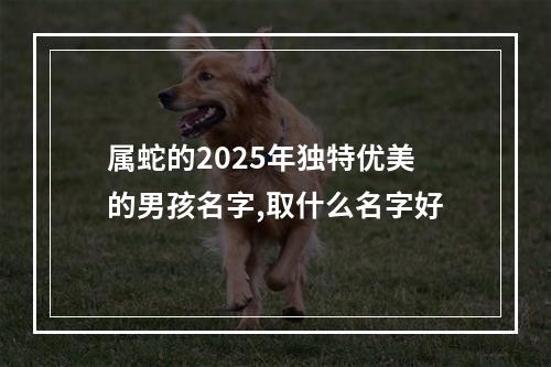 属蛇的2025年独特优美的男孩名字,取什么名字好