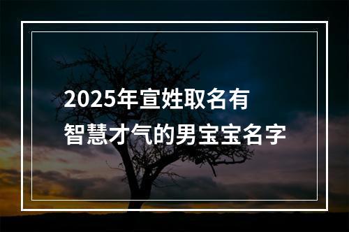 2025年宣姓取名有智慧才气的男宝宝名字