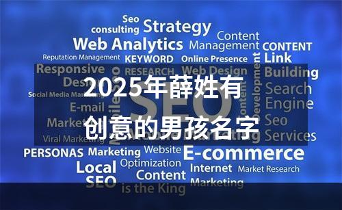 2025年薛姓有创意的男孩名字
