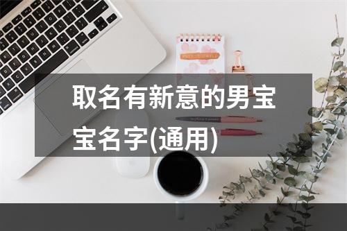 取名有新意的男宝宝名字(通用)