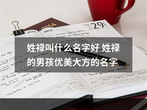 姓禄叫什么名字好 姓禄的男孩优美大方的名字