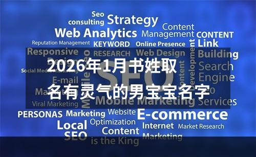 2026年1月书姓取名有灵气的男宝宝名字