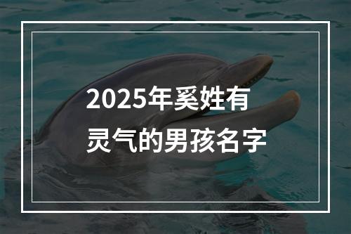 2025年奚姓有灵气的男孩名字