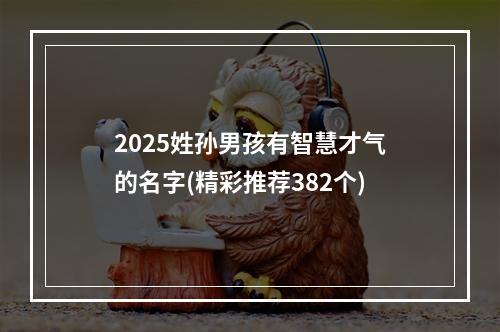 2025姓孙男孩有智慧才气的名字(精彩推荐382个)