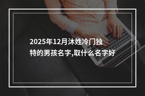 2025年12月沐姓冷门独特的男孩名字,取什么名字好