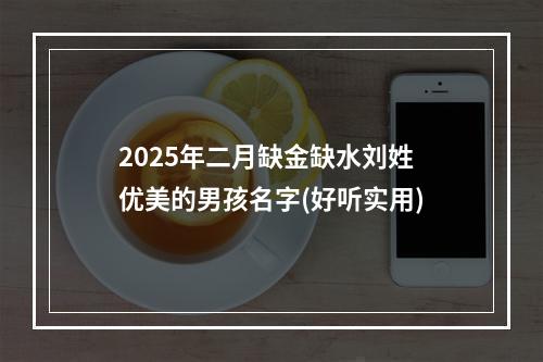 2025年二月缺金缺水刘姓优美的男孩名字(好听实用)