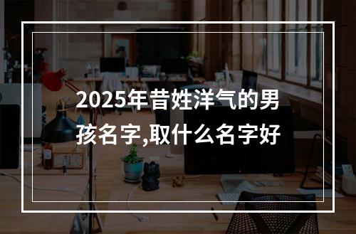 2025年昔姓洋气的男孩名字,取什么名字好
