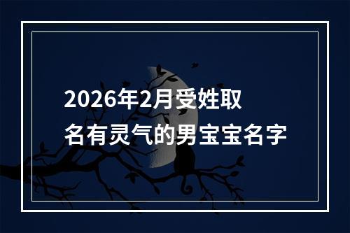 2026年2月受姓取名有灵气的男宝宝名字