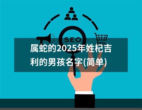 属蛇的2025年姓杞吉利的男孩名字(简单)