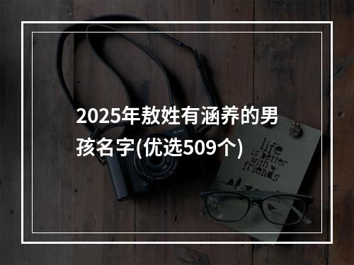 2025年敖姓有涵养的男孩名字(优选509个)