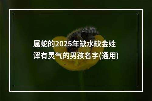 属蛇的2025年缺水缺金姓浑有灵气的男孩名字(通用)