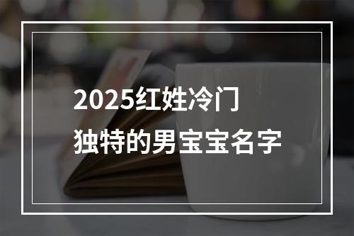 2025红姓冷门独特的男宝宝名字