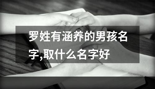 罗姓有涵养的男孩名字,取什么名字好