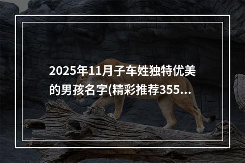2025年11月子车姓独特优美的男孩名字(精彩推荐355个)