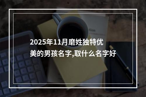 2025年11月磨姓独特优美的男孩名字,取什么名字好