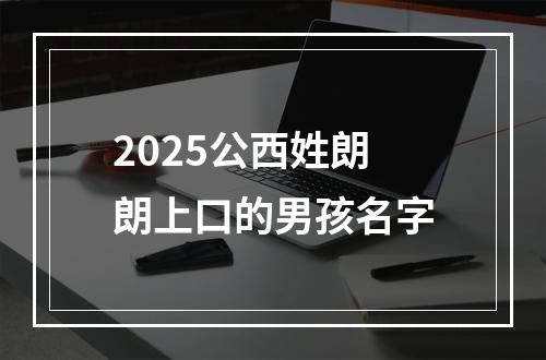 2025公西姓朗朗上口的男孩名字