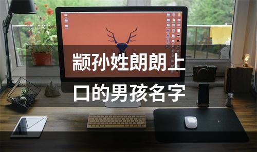 颛孙姓朗朗上口的男孩名字