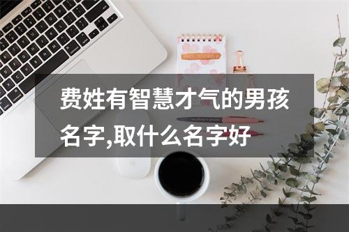 费姓有智慧才气的男孩名字,取什么名字好