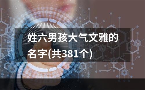 姓六男孩大气文雅的名字(共381个)