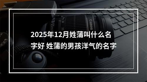 2025年12月姓蒲叫什么名字好 姓蒲的男孩洋气的名字