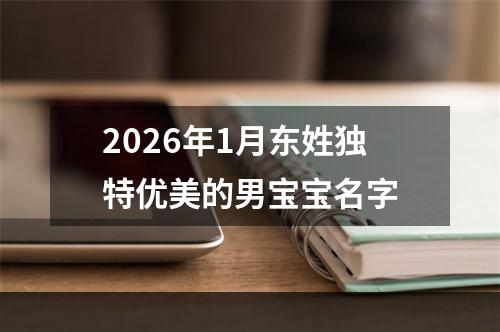 2026年1月东姓独特优美的男宝宝名字