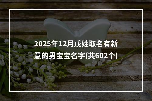 2025年12月戊姓取名有新意的男宝宝名字(共602个)