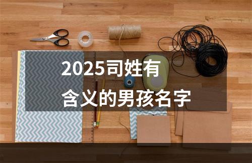 2025司姓有含义的男孩名字