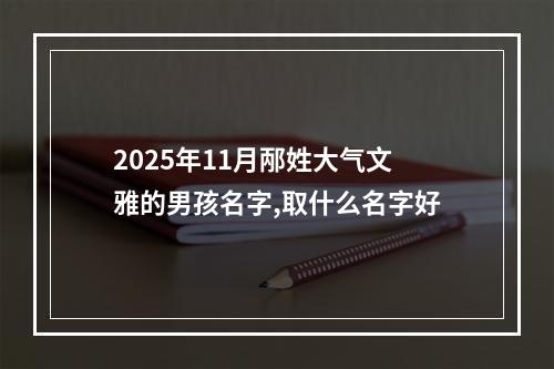 2025年11月邴姓大气文雅的男孩名字,取什么名字好