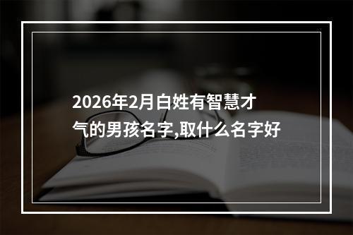 2026年2月白姓有智慧才气的男孩名字,取什么名字好
