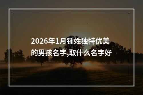 2026年1月锺姓独特优美的男孩名字,取什么名字好