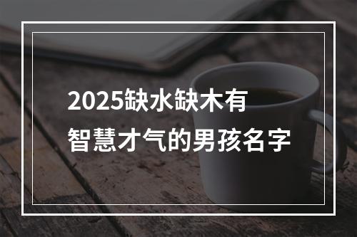 2025缺水缺木有智慧才气的男孩名字
