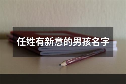 任姓有新意的男孩名字