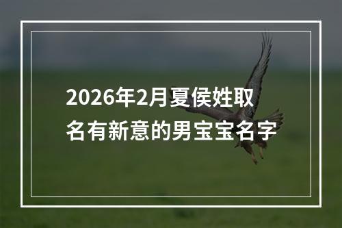 2026年2月夏侯姓取名有新意的男宝宝名字