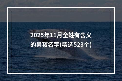 2025年11月全姓有含义的男孩名字(精选523个)
