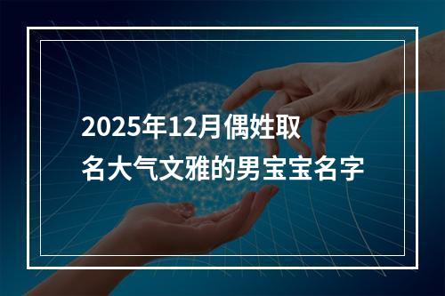 2025年12月偶姓取名大气文雅的男宝宝名字