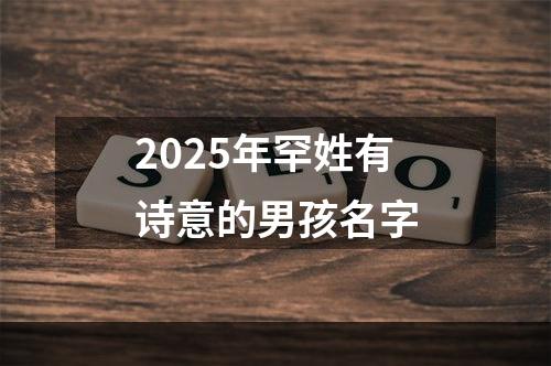 2025年罕姓有诗意的男孩名字