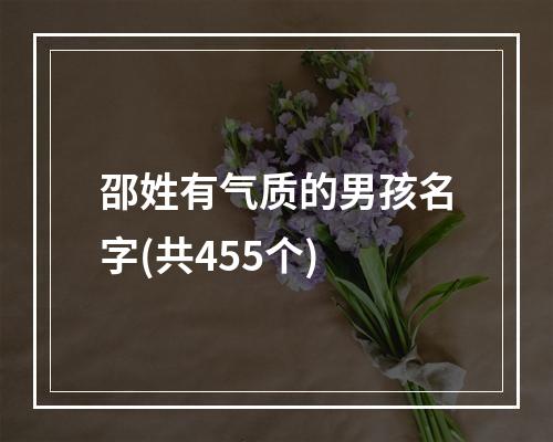 邵姓有气质的男孩名字(共455个)