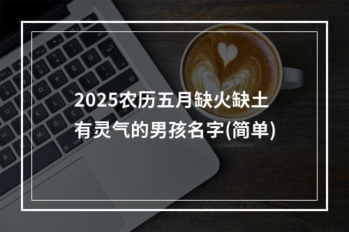 2025农历五月缺火缺土有灵气的男孩名字(简单)