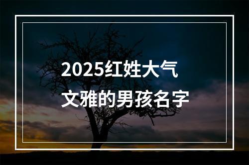 2025红姓大气文雅的男孩名字