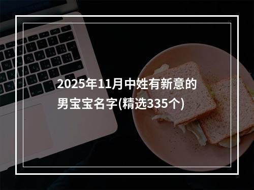 2025年11月中姓有新意的男宝宝名字(精选335个)