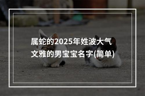 属蛇的2025年姓波大气文雅的男宝宝名字(简单)