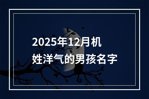 2025年12月机姓洋气的男孩名字