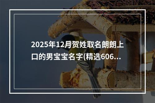 2025年12月贺姓取名朗朗上口的男宝宝名字(精选606个)